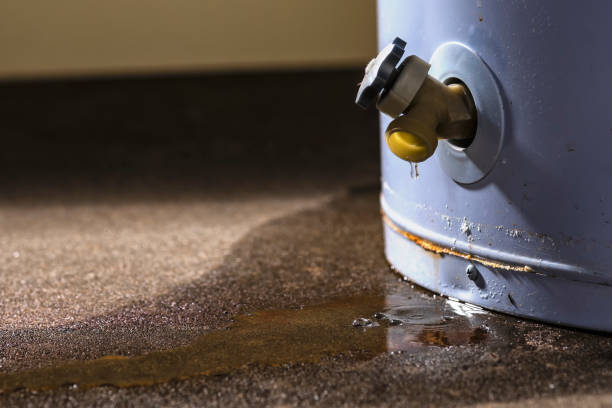 Best Water damage restoration insurance claims  in Hiram, OH