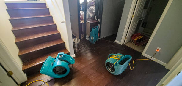 Water damage restoration mold remediation in Hiram, OH
