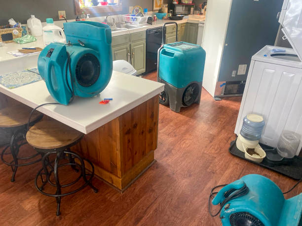Best Water damage restoration near me  in Hiram, OH