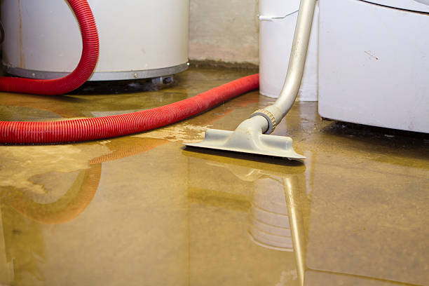 Best Sewage cleanup and water damage restoration  in Hiram, OH